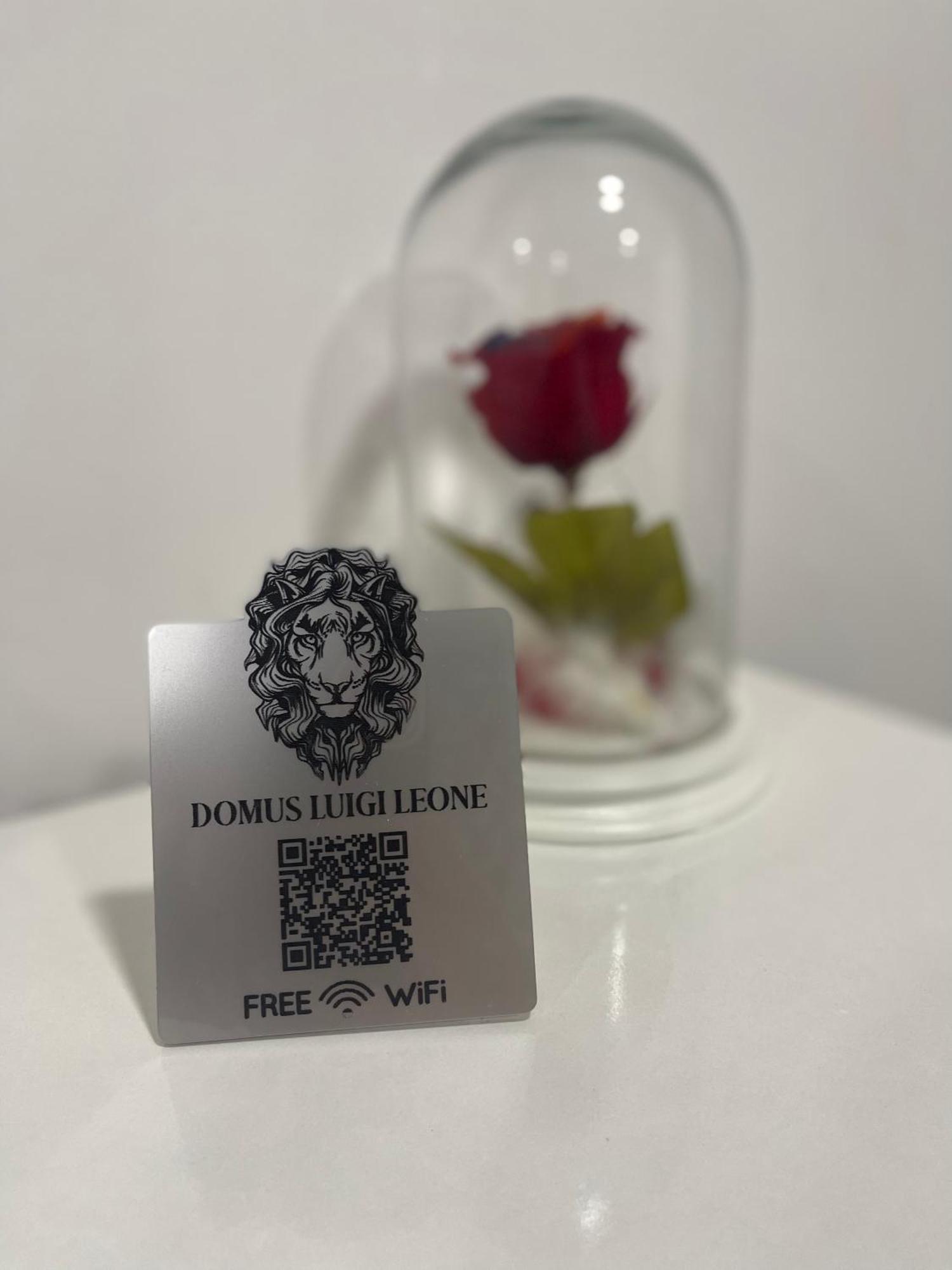 Appartement Domus Leone *
